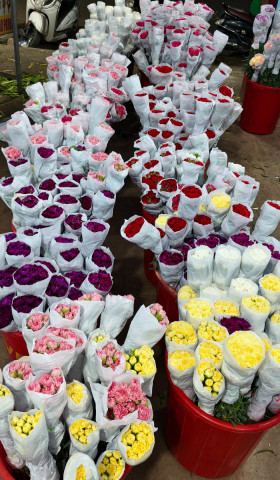 flowers